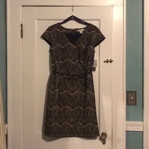 NWT short sleeved black and cream dress